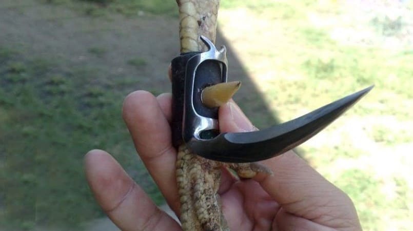 Cựa dao là dụng cụ được sử dụng phổ biến đá gà cựa sắt